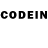 Псилоцибиновые грибы GOLDEN TEACHER Roonihy