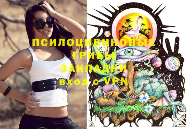 PSILOCYBIN Балахна