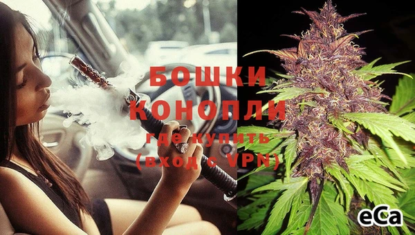 PSILOCYBIN Балахна