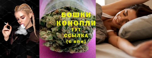 PSILOCYBIN Балахна
