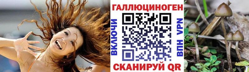 Купить  Афипский  Галлюциногенные грибы ЛСД 